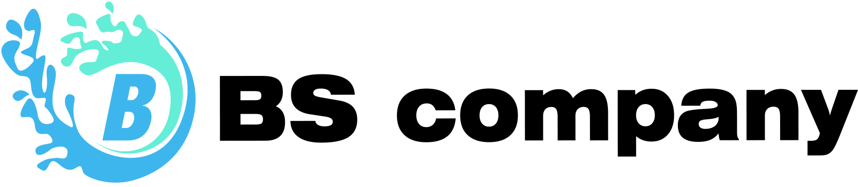 BS COMPANY